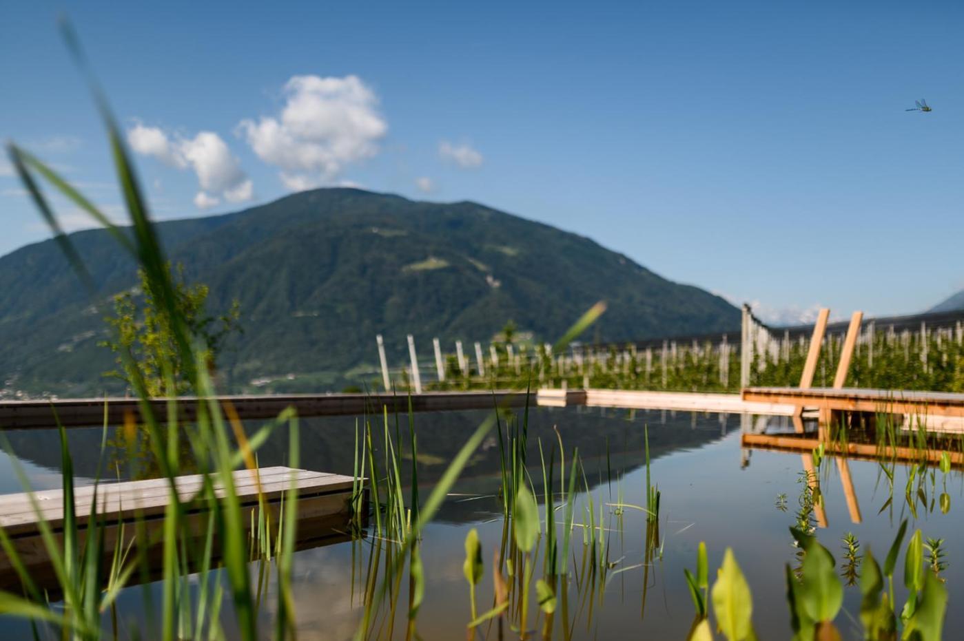 Pataunerhof Tirol Kültér fotó